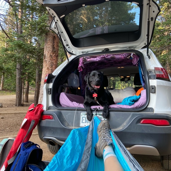 Meet your Posher, Natalie - Picture 2 of 4